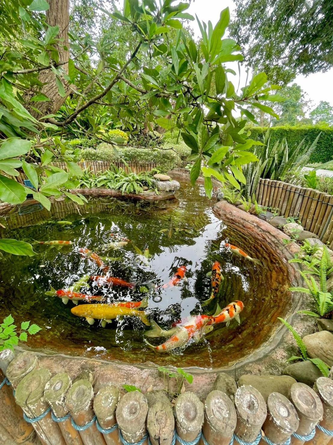 River Valley Resort แอทน่าน Eksteriør billede